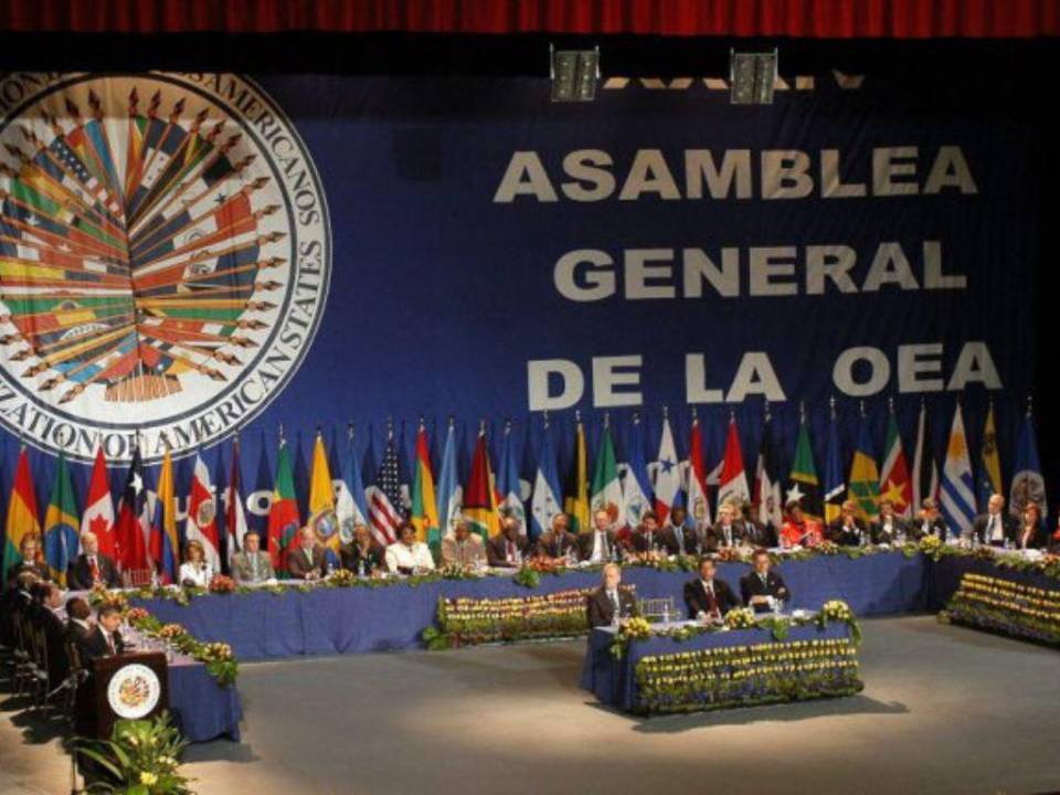 Entre los activistas marcharon ciudadanos de México, El Salvador, Argentina, Costa Rica y Uruguay, entre otros países representados en la OEA.