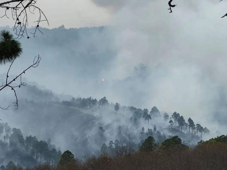Alrededor de 125 hectáreas fueron afectadas por incendio en La Calera.