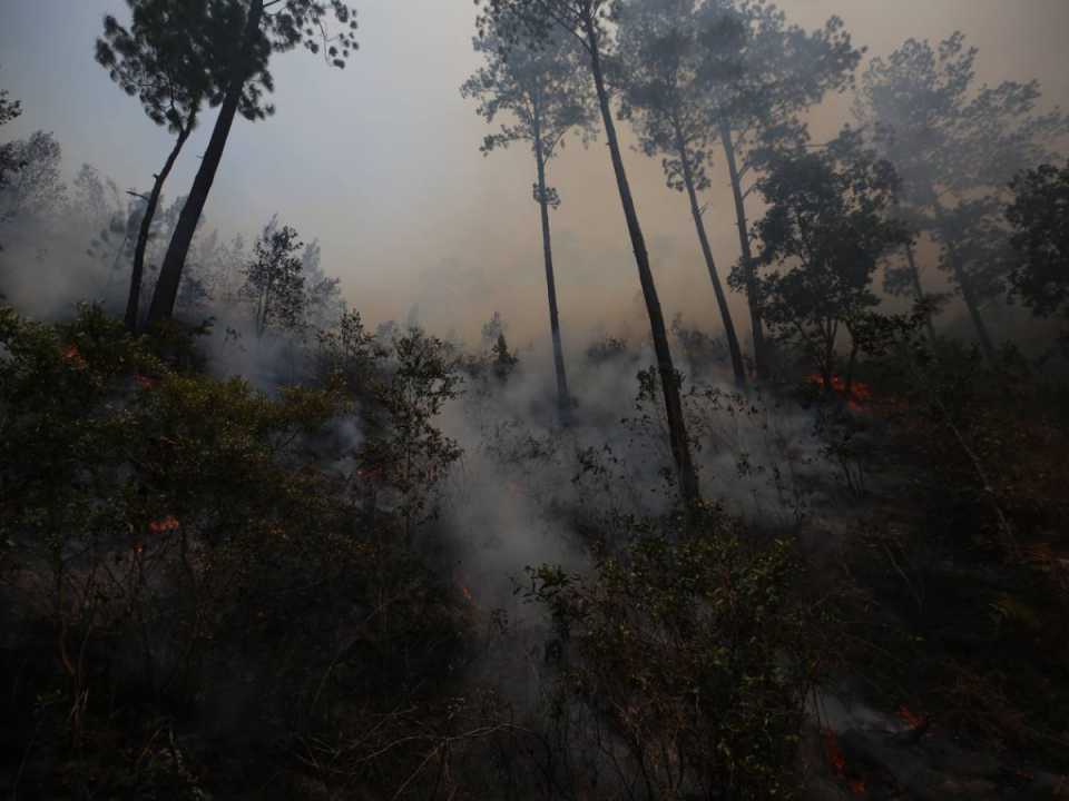 El ambiente que se vive dentro del parque nacional es un caos infernal para los miembros de apoyo que trabajan para sofocar el incendio.