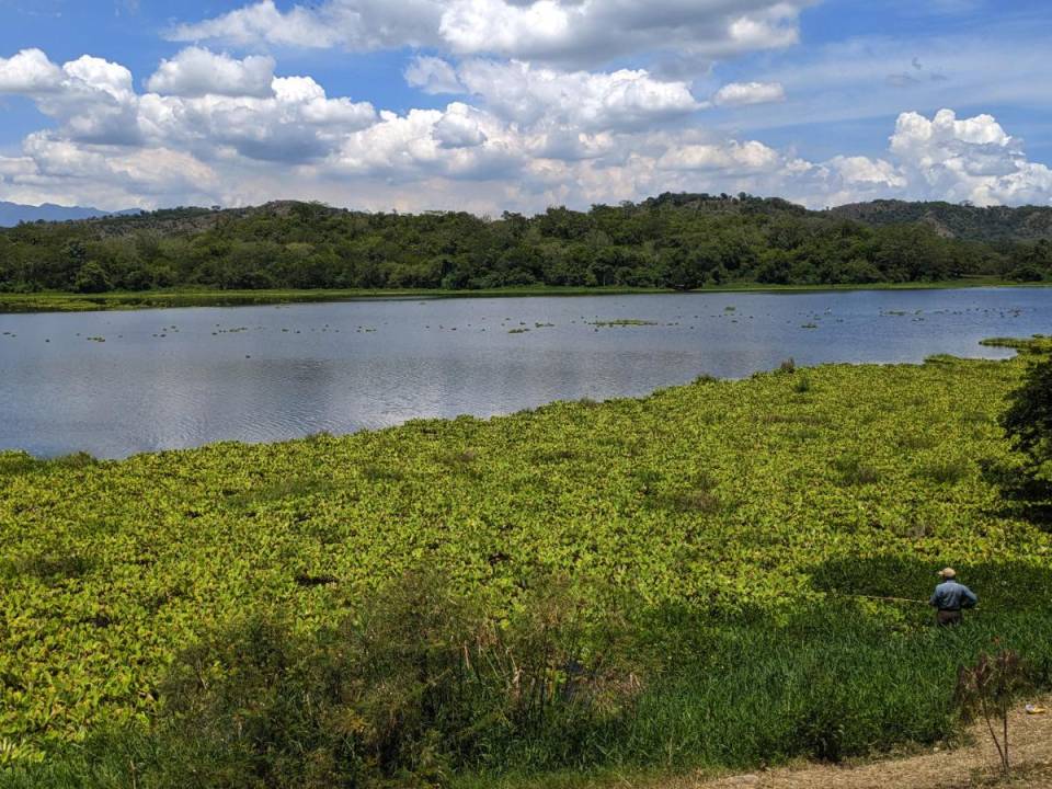 Para el desarrollo de la Laguna Jucutuma, es vital proyectos de microempresas de ecoturismo como guías para avistamiento de aves y paseos en kayak.