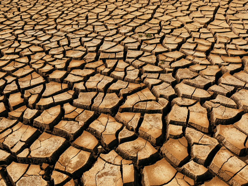 Los efectos en las temperaturas mundiales suelen notarse al año siguiente del desarrollo del fenómeno.