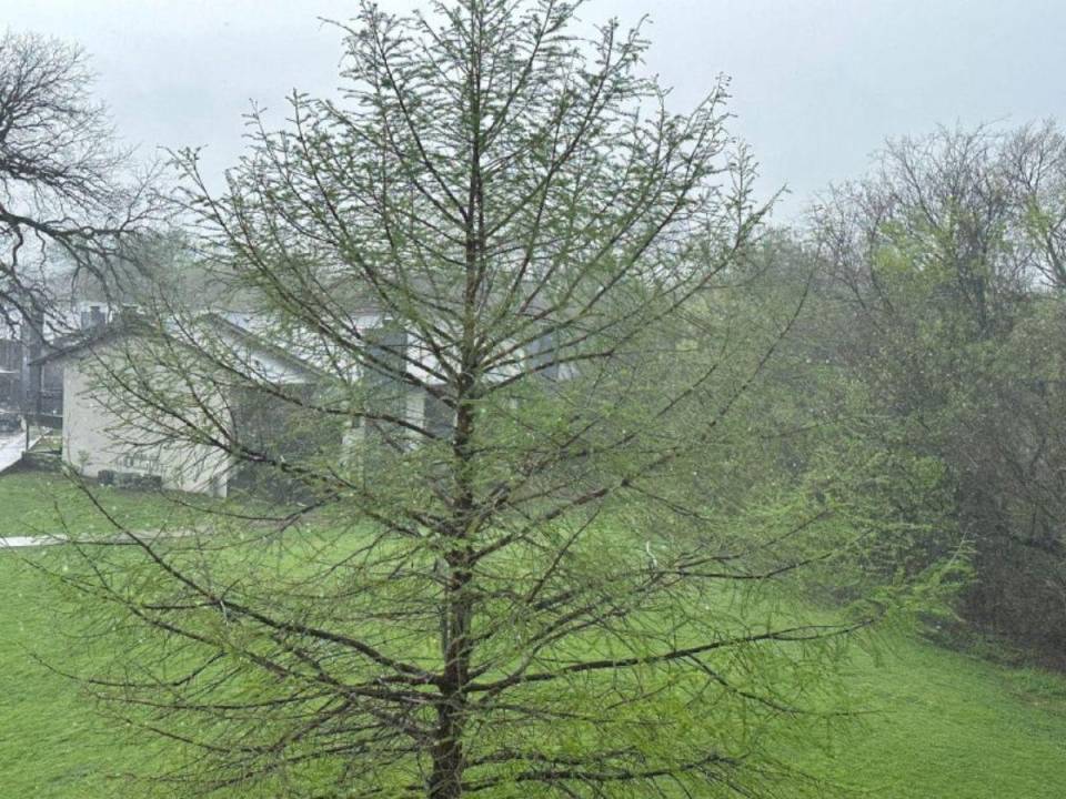 Un frío ambiente espera por Honduras en Dallas, Texas.