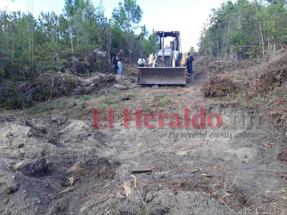 Los imputados en este caso utilizaron una retroexcavadora en pleno Parque Nacional para iniciar trabajos en uno de los pulmones de la ciudad.