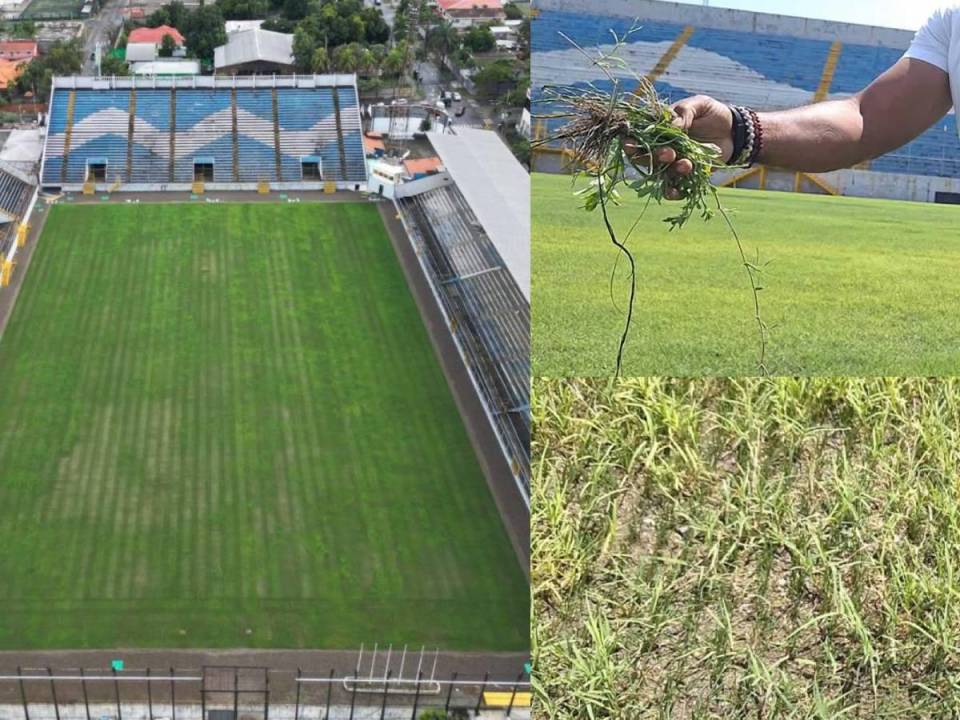 El proyecto del césped híbrido en el Estadio Morazán de San Pedro Sula, Cortés, ha sufrido un duro revés y no estará lito hasta el segundo tramo del 2024
