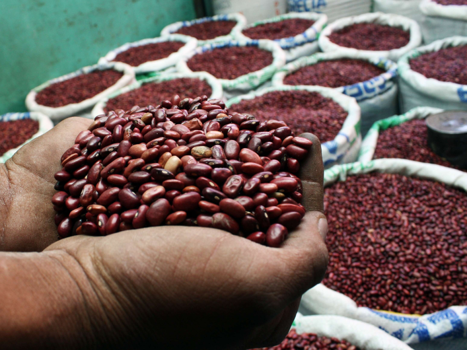 De 135 a 140 lempiras pasan las cinco libras de frijoles en los mercados. El gobierno aprobó una compra de emergencia del grano.