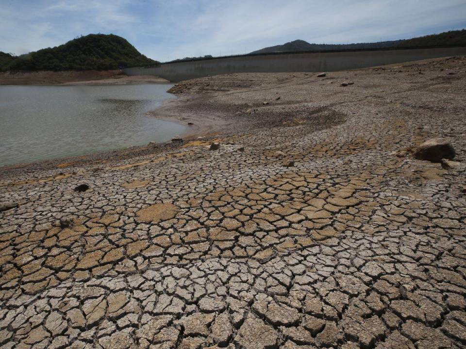 La seguridad alimentaria de unas 50,000 familias en el corredor seco corre riesgo por el fenómeno de El Niño.