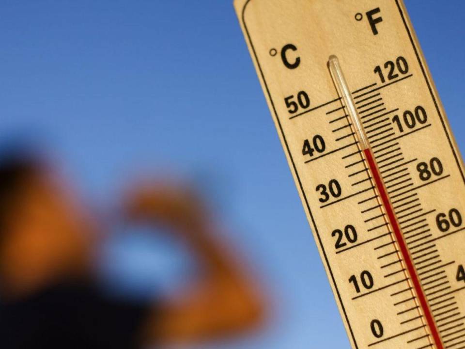 2024 podría superar el récord de su año predecesor, el cual fue el año más caliente en 174 años desde que existen registros, de acuerdo al monitoreo de la Organización Meteorológica Mundial (OMM).