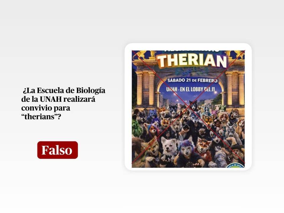 Captura de pantalla a un contenido de WhatsApp hecha el 20 de febrero de 2026, adaptada a esta cartela.