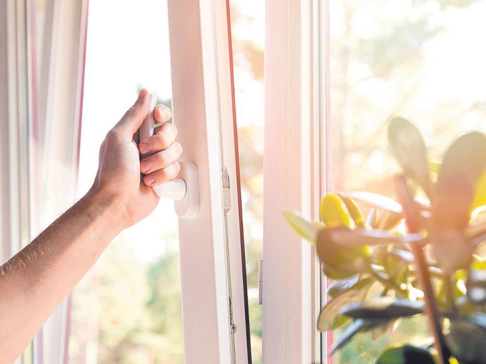 Evite regar en exceso las plantas de interior y repare las tuberías con fugas para prevenir la formación de moho, que prospera en ambientes húmedos.