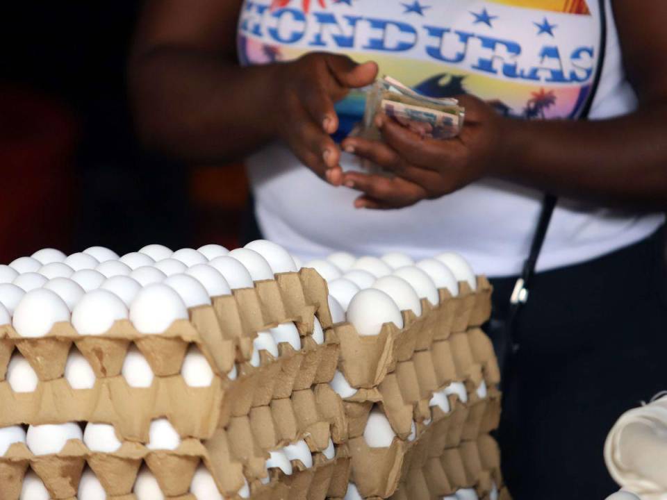 El cartón de huevos registró rebajas entre 15 y 20 lempiras el mes anterior, según lo manifestado por comerciantes capitalinos.