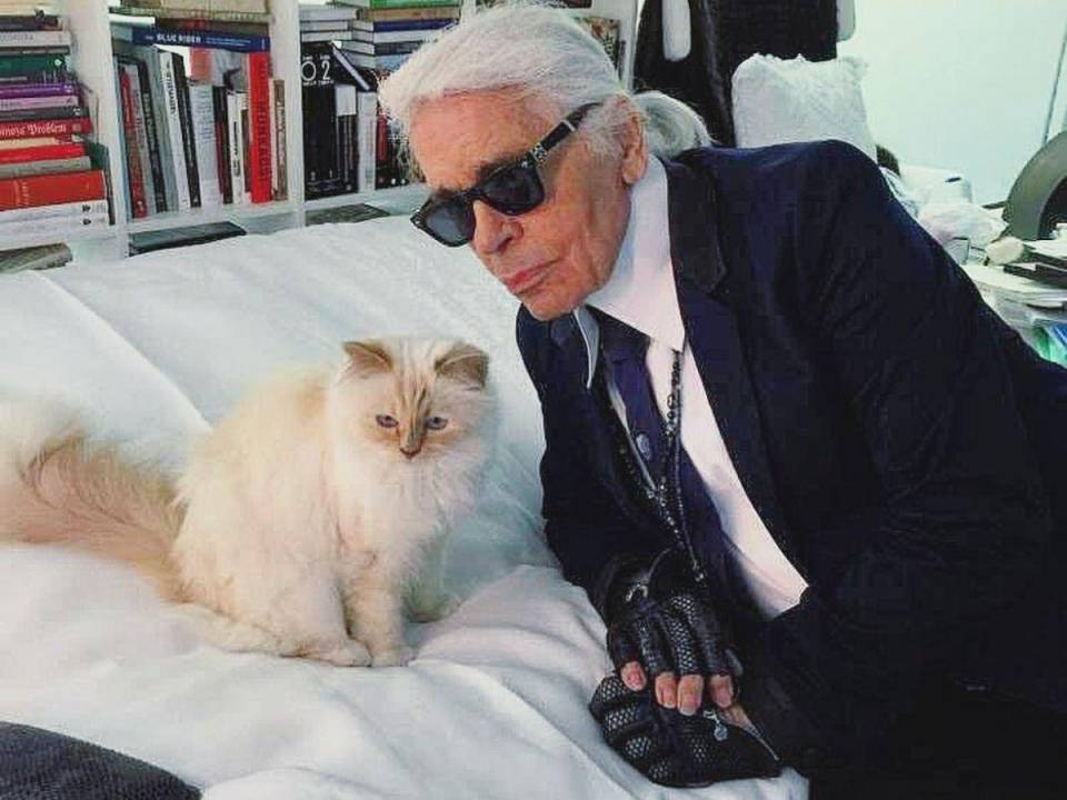 Karl Lagerfiel y Choupette estuvieron juntos por más de 8 años.