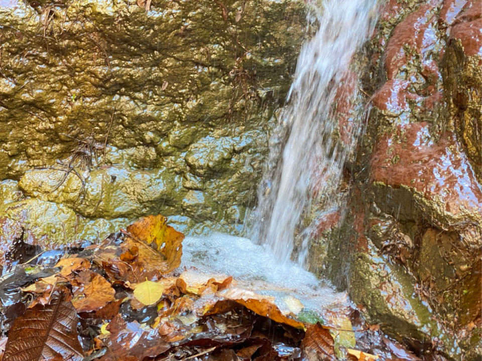 La microcuenca Quebrada de Agua se ubica en el municipio de La Venta, Francisco Morazán.