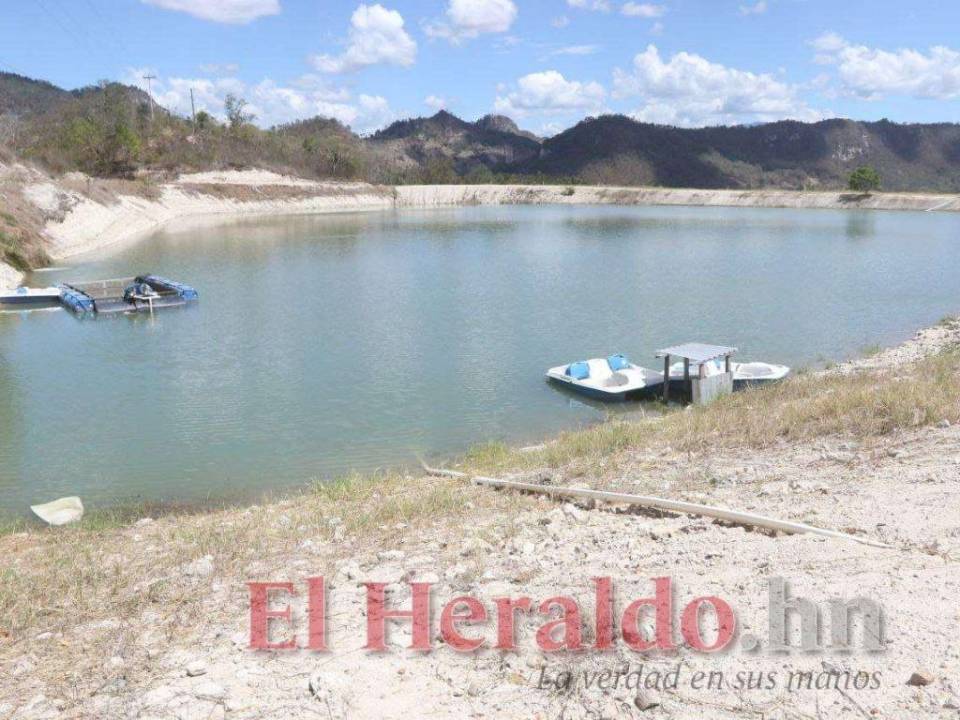 En las propiedades de Hernández que están bajo resguardo policial hay cosechadoras de agua con dimensiones tan amplias que hasta hay botes para navegar, constató EL HERALDO.