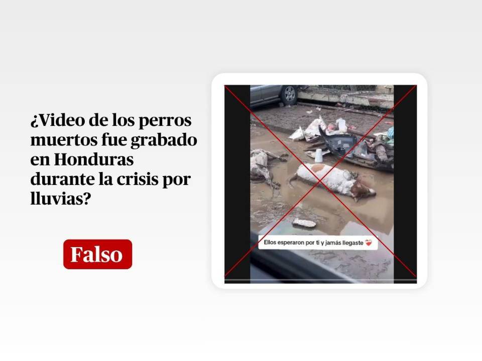 Captura de pantalla a una publicación en TikTok hecha el 14 de octubre de 2025, adaptada a esta cartela.