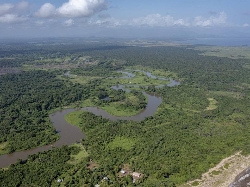 La Biósfera del Río Plátano presenta su mayor deforestación en más de 20 aldeas, siendo la más afectada Krausirpi.