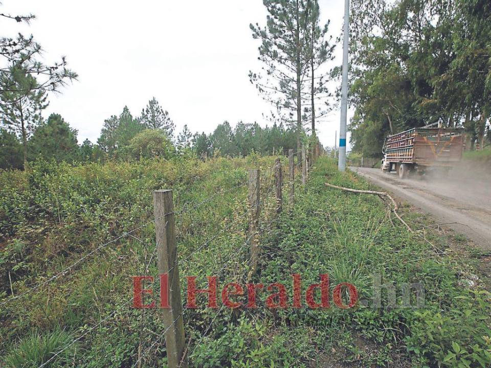 La Unidad Investigativa de EL HERALDO Plus regresó al municipio de Trojes, El Paraíso, donde evidenció que la UCP no construyó las viviendas.