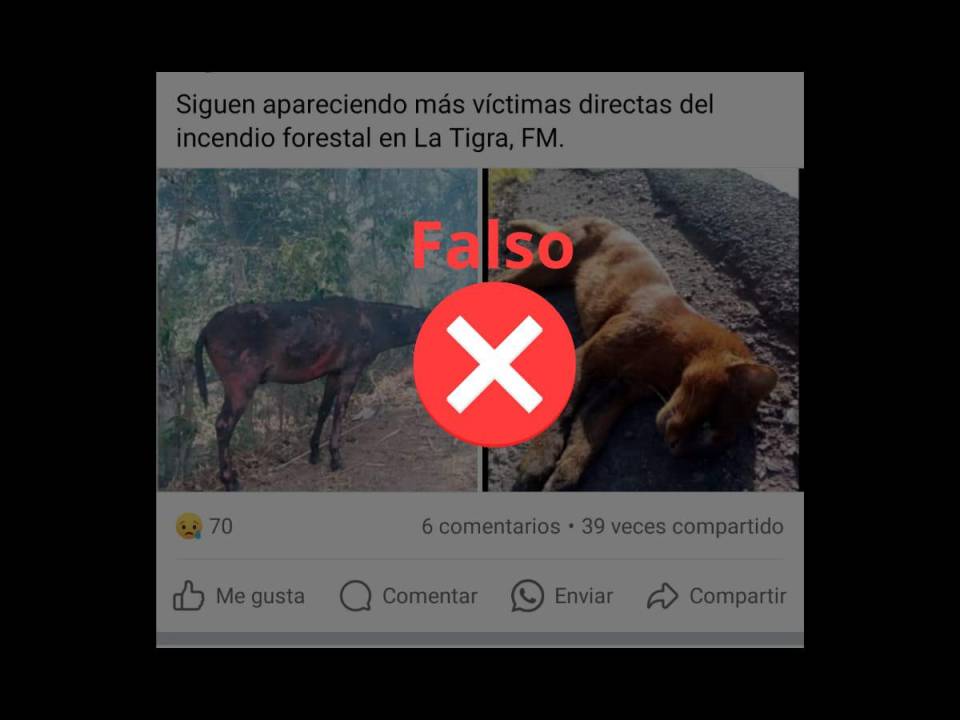 Captura de pantalla a una publicación de Facebook realizada el 21 de marzo de 2024.