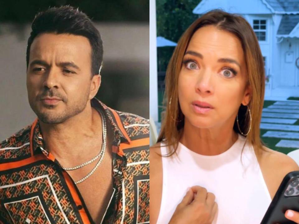 Luis Fonsi estrenó recientemente su canción “Pasa la página”, la cual muchos aseguran que está dirigida a su exesposa, la presentadora de televisión y actriz, Adamari López, quien en varias ocasiones lo acusó de haberla engañado y dejado en su etapa más difícil, cuando ella enfrentaba las secuelas del cáncer. Sin embargo, el cantante decidió hablar más de una década después y realizó explosivas declaraciones que asegura que son la verdad de lo que ocurrió.