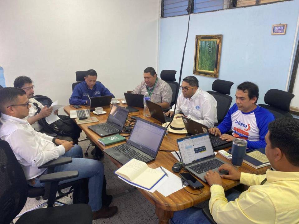 La misión técnica de Senasica ha sostenido reuniones con representantes de la Andah y Senasa.