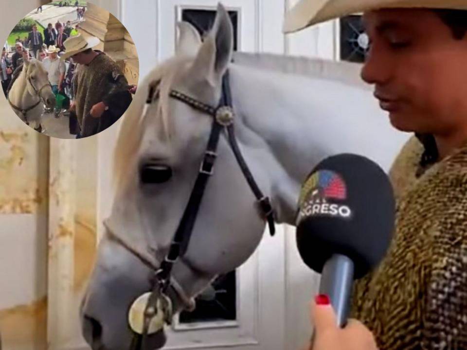 Imágenes de los medios mostraron a Barrera, miembro del partido Centro Democrático, en los pasillos del edificio con el equino y vistiendo un sombrero y poncho típicos.