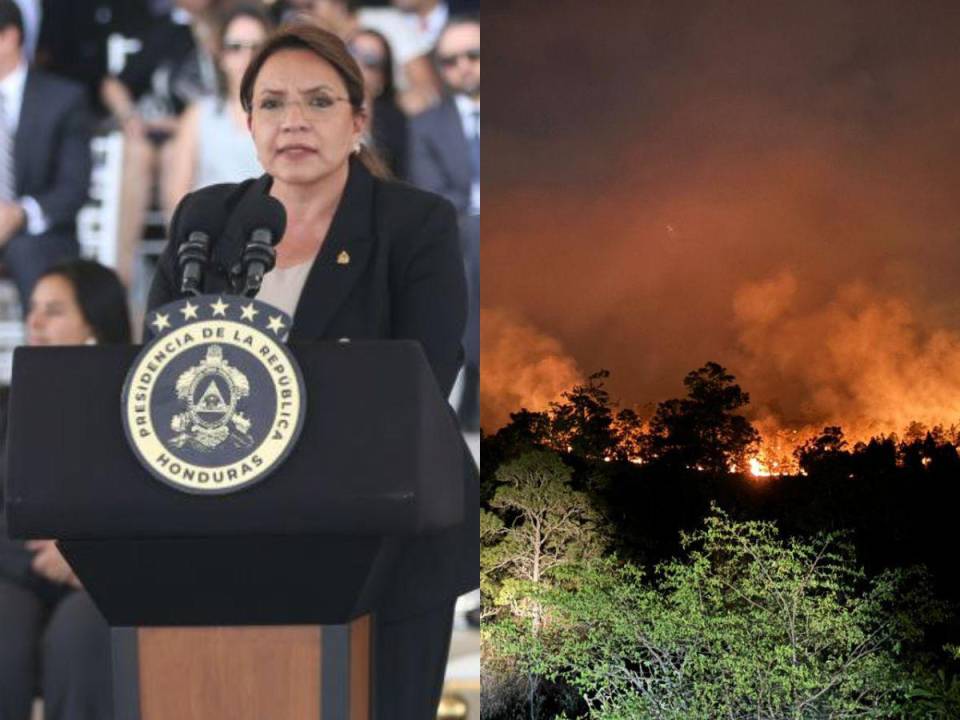 Hasta el momento se desconoce la cantidad de daños que pudo haber provocado el incendio en la zona.