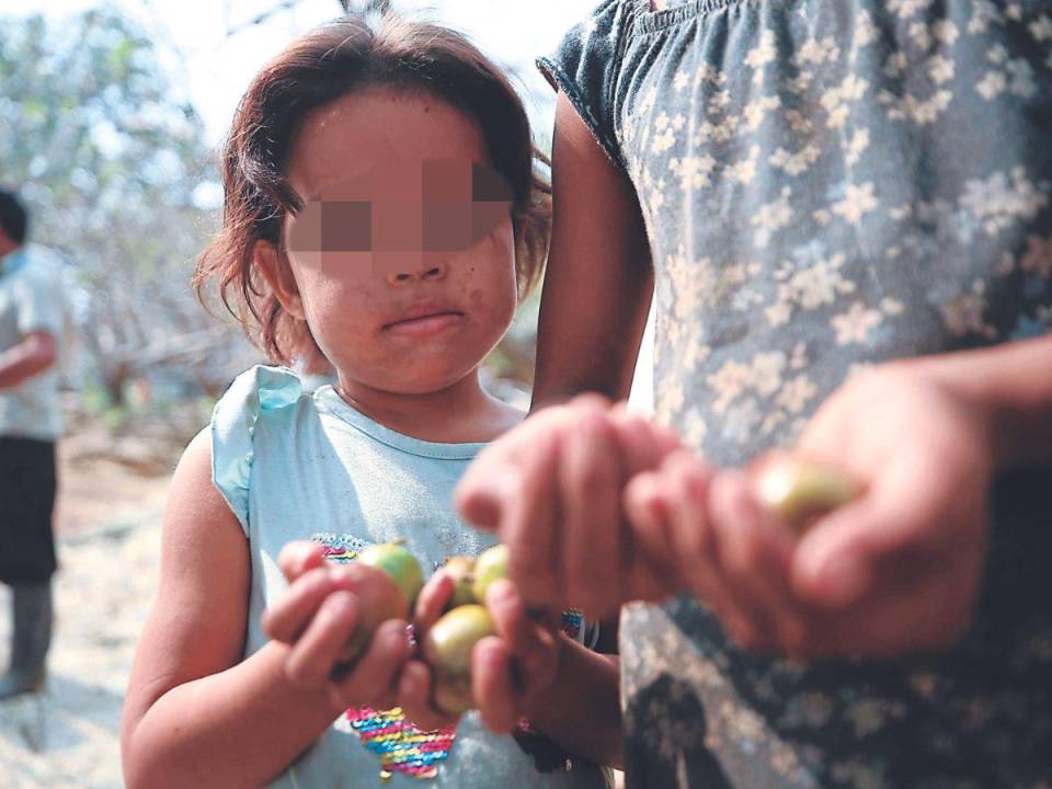 Sin preguntar edades, la crisis que azota al corredor seco expone a los menores de edad, quienes también se alimentan con ciruelas.