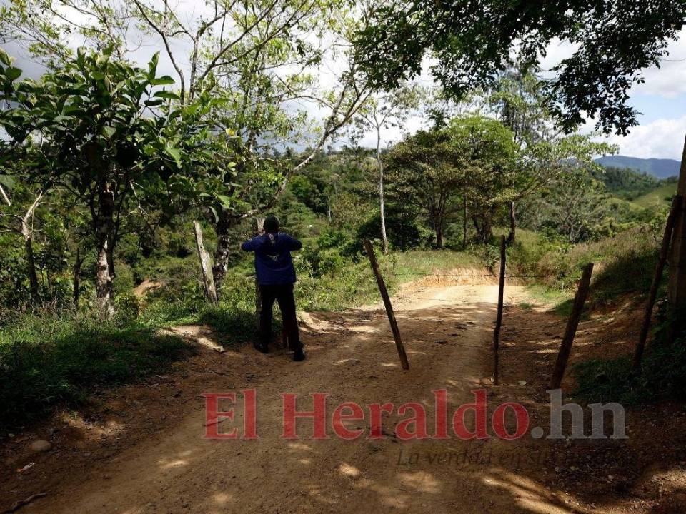 La Unidad Investigativa de EL HERALDO Plus evidenció que la carretera ilegal que conecta Olancho con Gracias a Dios avanza en medio de ranchos donde para pasar hay que pedir permiso.