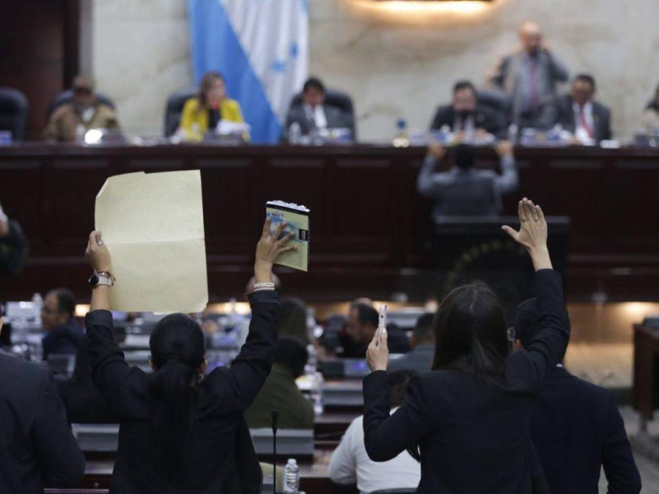 Con la Constitución en la mano y una pancarta en la otra, las diputadas pedían la palabra.