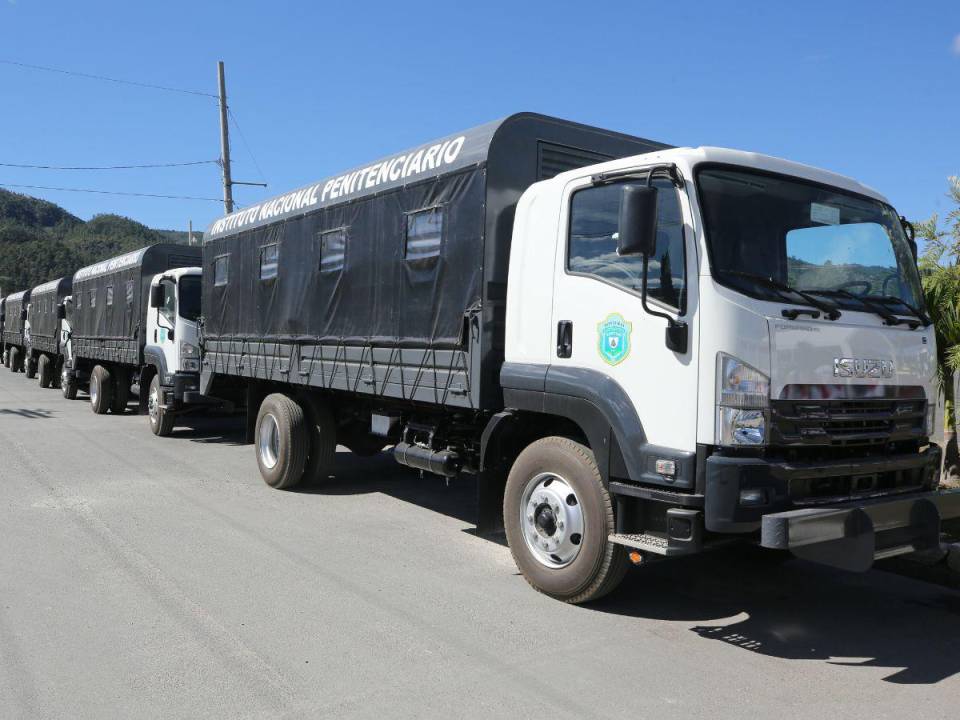 Camiones y volquetas compraron las autoridades del INP en un proceso de adquisición directa.