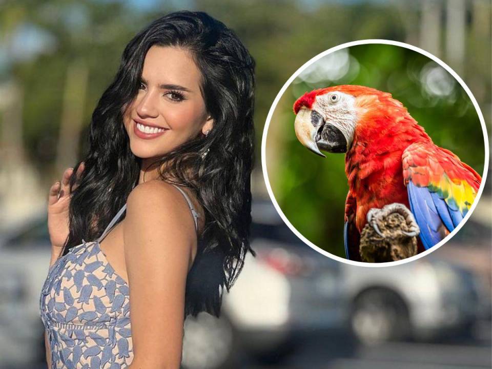 A una década de haber trazado las líneas del traje típico de Diana Schoutsen, Miss Honduras Universo 2013, Danilo García vuelven la mirada al Miss Universo en busca de códigos tradicionales.