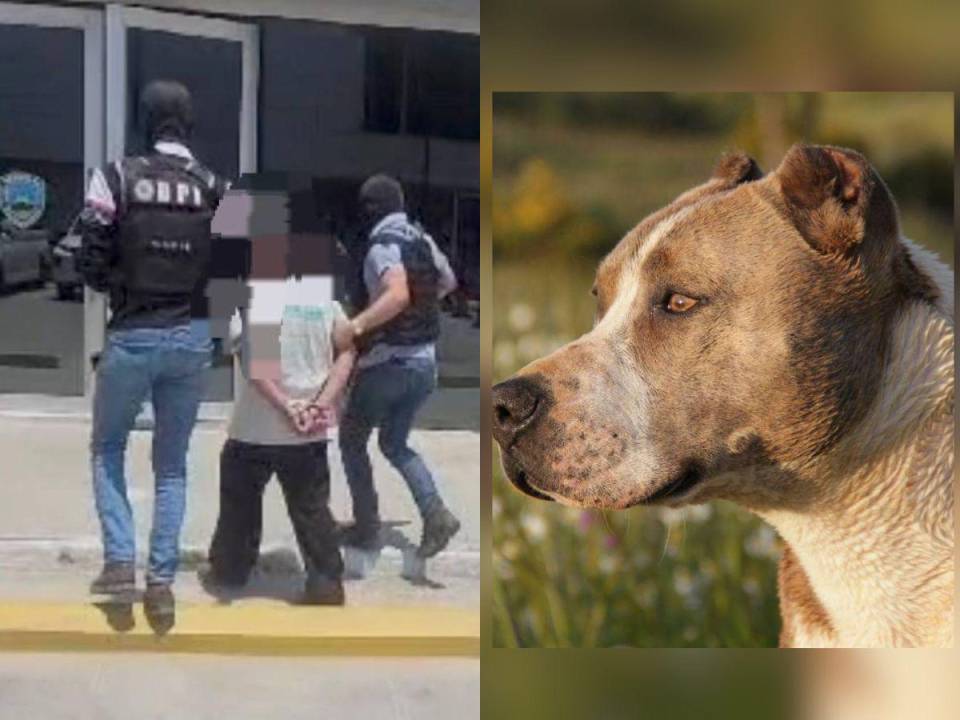 Un hondureño perdió la vida en un confuso hecho luego de presuntamente haberle reclamado a su vecino que su perro lo mordió. El suceso ocurrió el pasado martes -9 de abril en los bordos de Río Blanco, San Pedro Sula, departamento de Cortés, al norte de Honduras. A continuación los detalles.