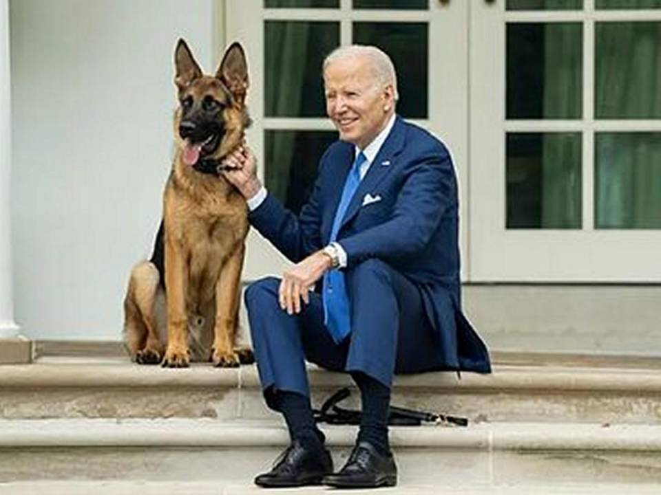 El perro de Biden, Commander, ha mordido a varios agentes del Servicio Secreto en el pasado.