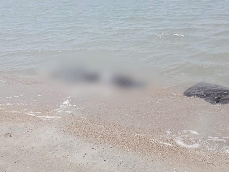 Los cuerpos fueron encontrados en una playa del estado mexicano de Oaxaca, al sur de México.