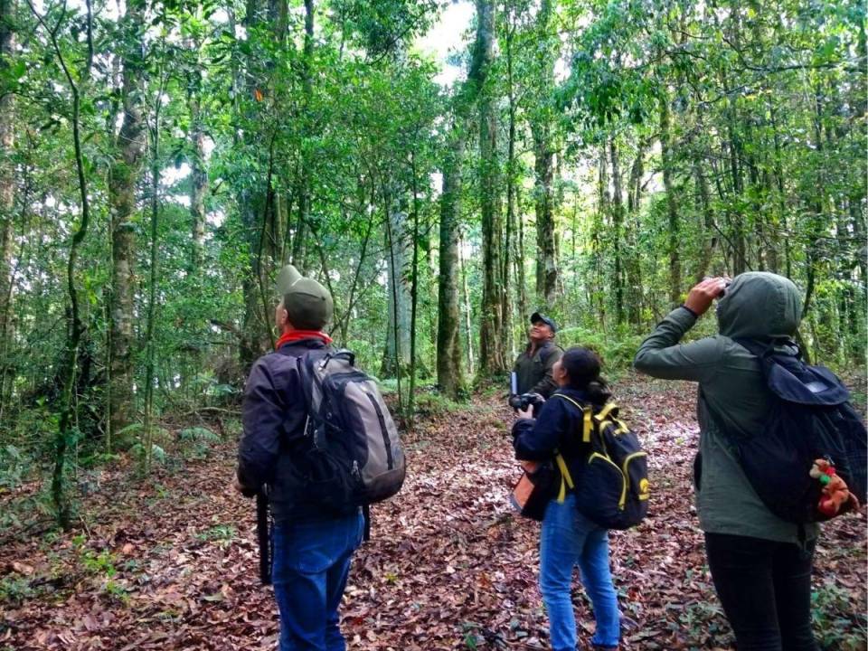 Anualmente, cientos de amantes y estudiosos de la naturaleza visitan la reserva del Jilguero, ubicada en el departamento de La Paz.