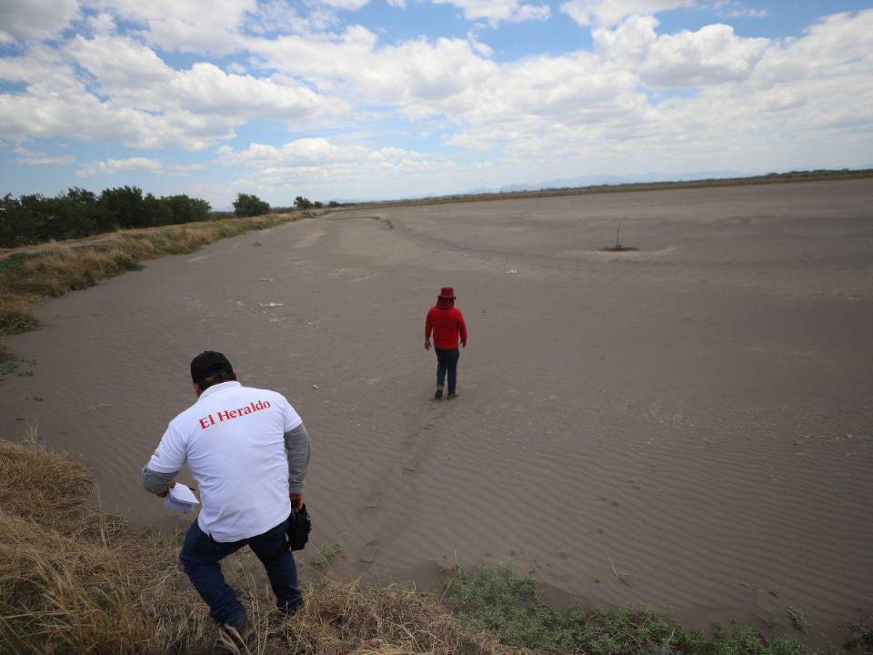 Al menos 250 fincas de camarón en el sur de Honduras han dejado de producir en los últimos años debido a que ya no pueden exportar a sus principales mercados: Taiwán y México.