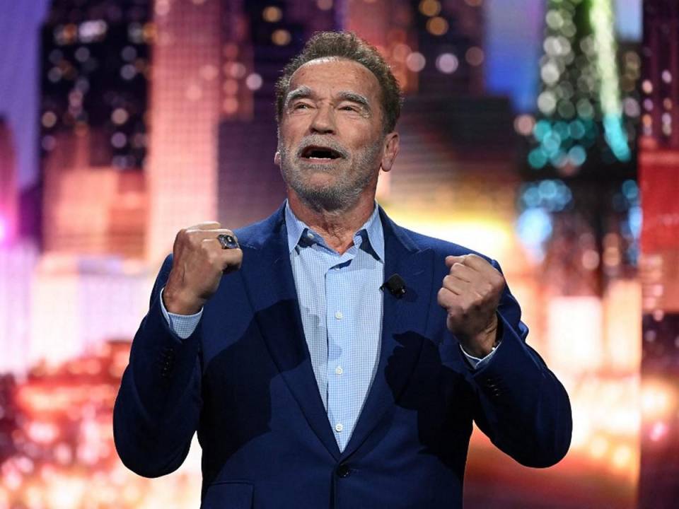 Las autoridades alemanas incoaron en su contra una acción penal, dado que Schwarzenegger tendría que haber declarado el ingreso del reloj.