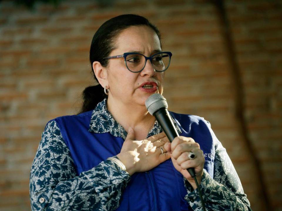 A sus 54 años de edad, la ex primera dama, Ana García de Hernández, ha tenido una nutrida formación académica y profesional dentro y fuera de Honduras. A continuación le contamos un poco más sobre la vida de la nueva precandidata presidencial del Partido Nacional.