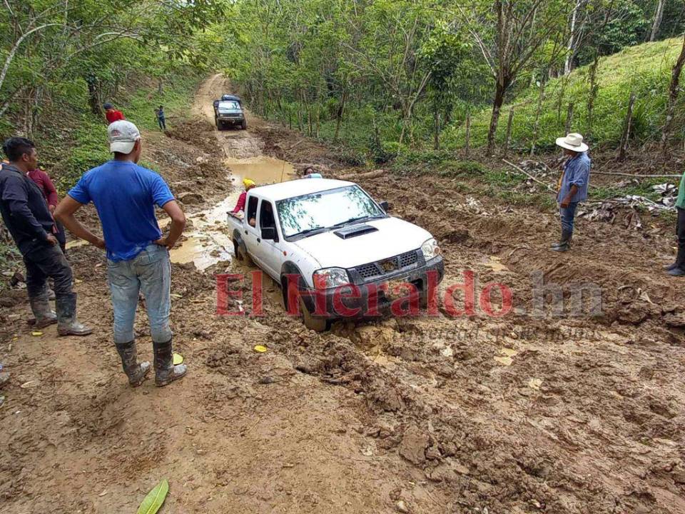 La carretera ilegal mantiene una división entre el pueblo tawahka, una parte está a favor por considerar que impulsa el desarrollo y la otra en contra por la deforestación.