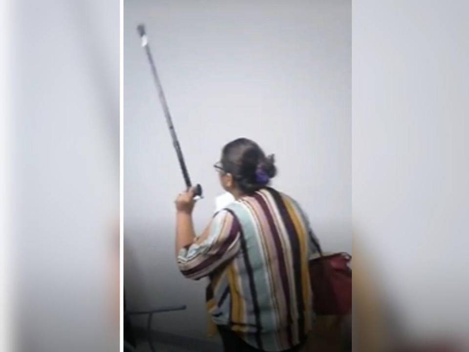Captura de pantalla de un video que se transmitió a través de un Facebook Live. Una docente discutía con otra y hasta levantó su bastón para intentar agredir a la persona con la que tenía una diferencia.