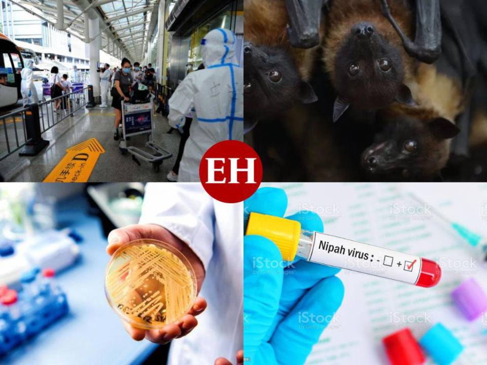 Lo que hay que saber sobre el hepanivirus, la enfermedad que acecha al mundo