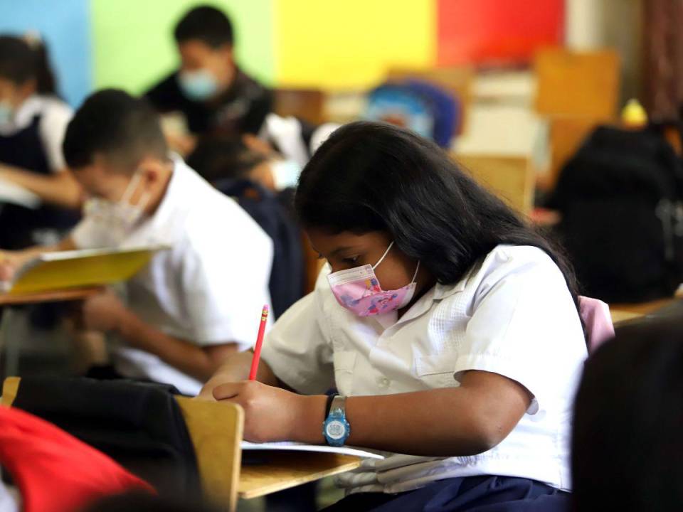 La implementación de la educación sexual en Honduras será obligatoria en todas las áreas educativas, es decir, en prebásica, básica, media y superior. Iniciativa que iniciará a partir de este año.