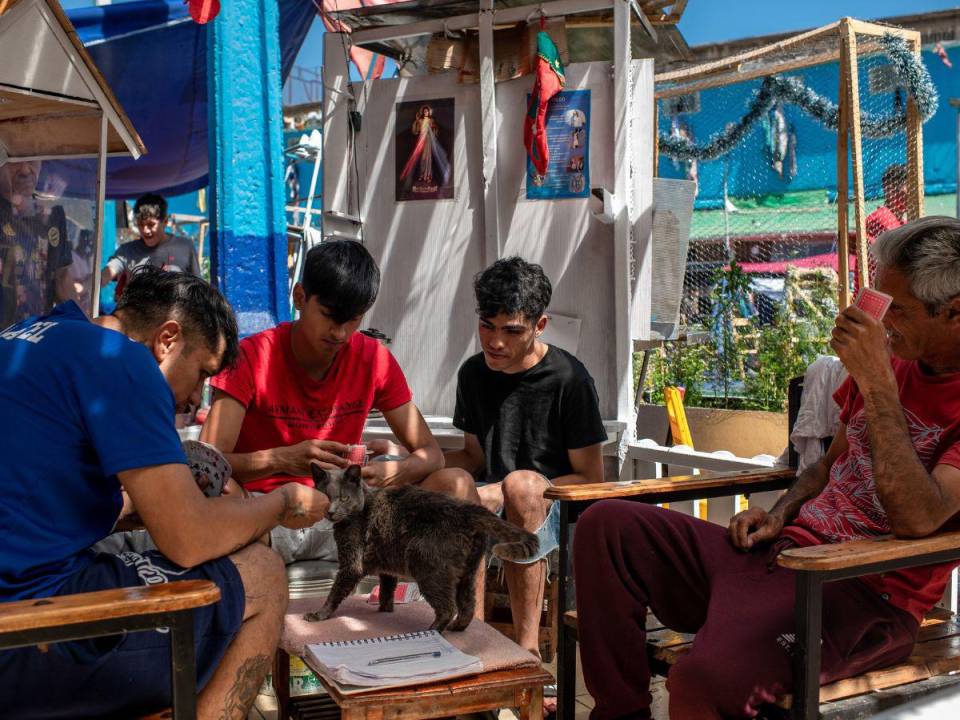 Un gato se une a un juego de cartas con reos en una sección de baja seguridad de la prisión principal de Santiago de Chile. (Cristobal Olivares para The New York Times)