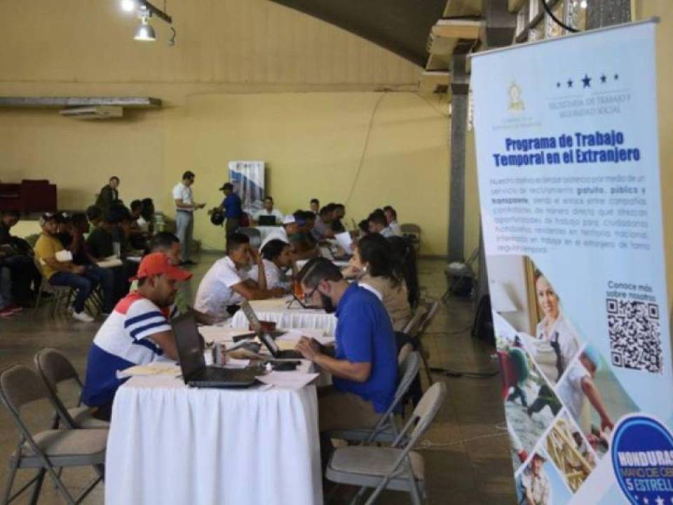 Programa de Trabajo Temporal en el Extranjero (PTTE) ofrece buenas oportunidades para los hondureños.