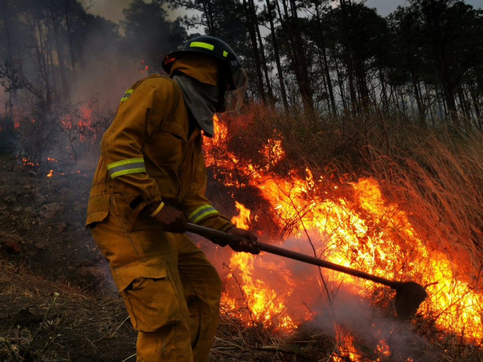 La quema de monte repunta la lista de incidencias brindadas por los bomberos, hay un incremento del 240% en comparación con el 2023.