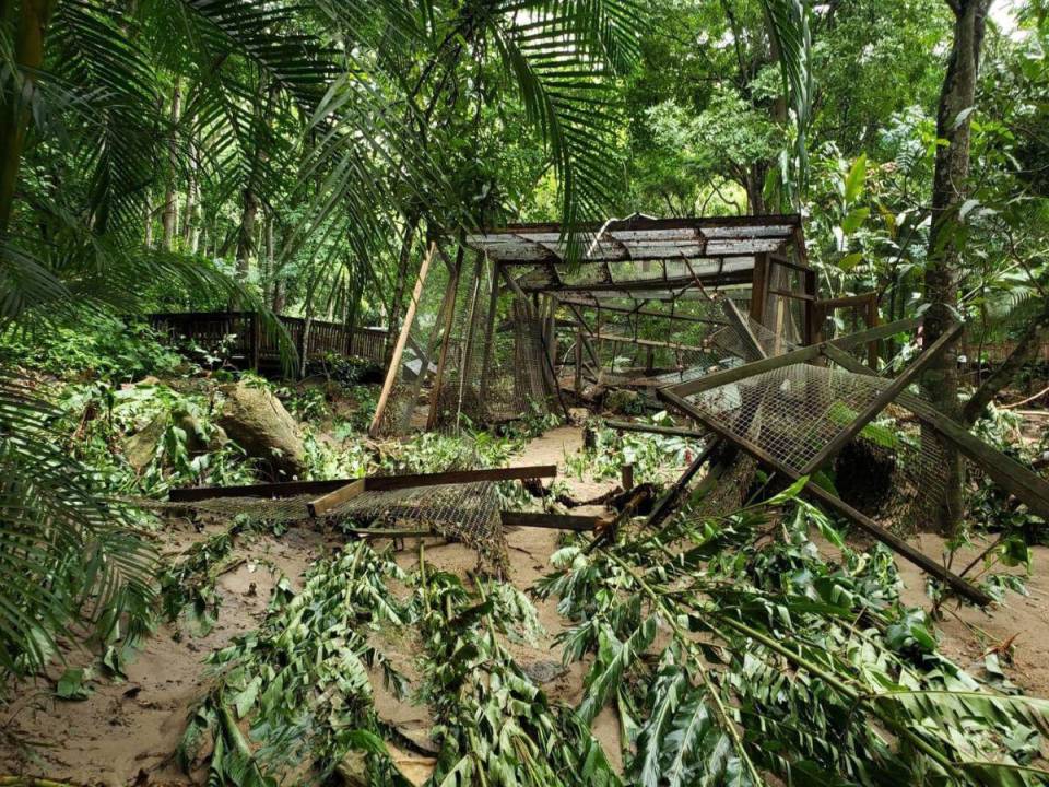 El personal manifestó que estarán haciendo recaudación de fondos los cuales estarán destinados a la reconstrucción del parque y la protección de las aves.