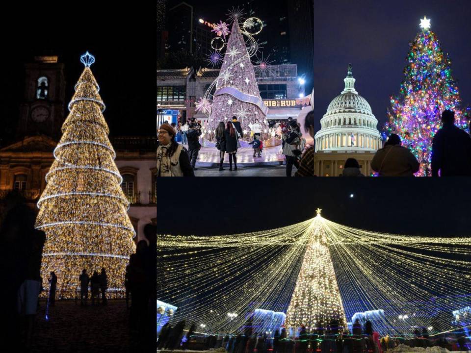 Desde los predios del Capitolio en Estados Unidos hasta la gélida Rusia, los árboles navideños llenan de luz y color los festejos de Fin de Año.