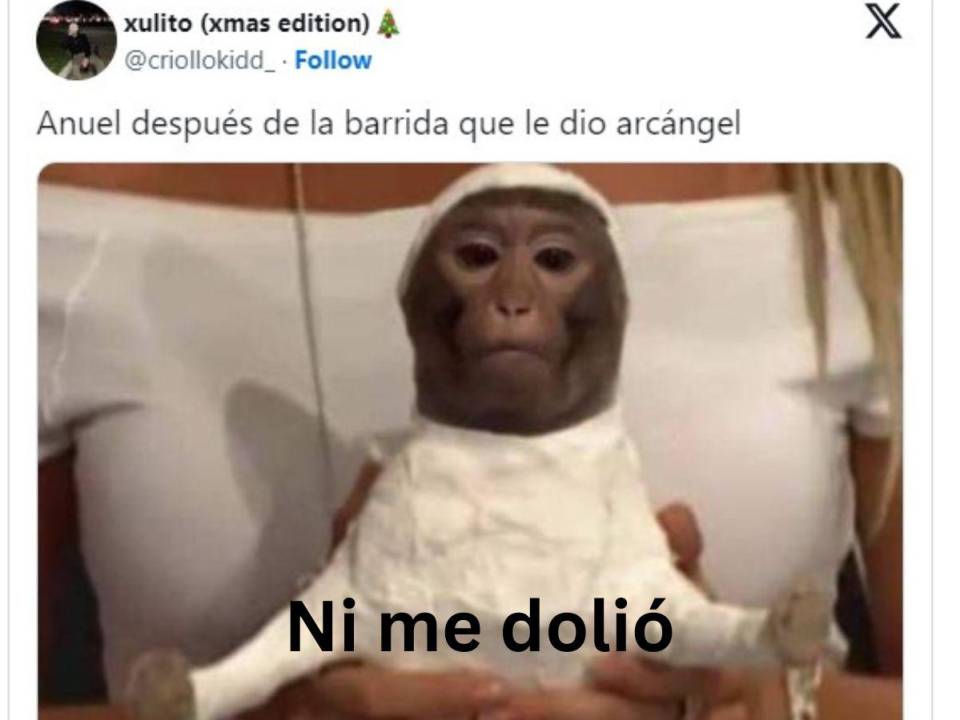 Las redes explotaron luego de la tiradera que Arcángel le dedicó a Anuel AA durante el fin de semana. Estos son los divertidos memes.