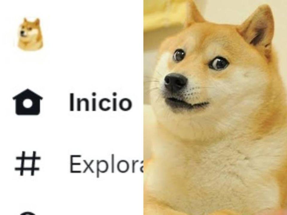 El Dogecoin es la cara de la famosa criptomoneda.