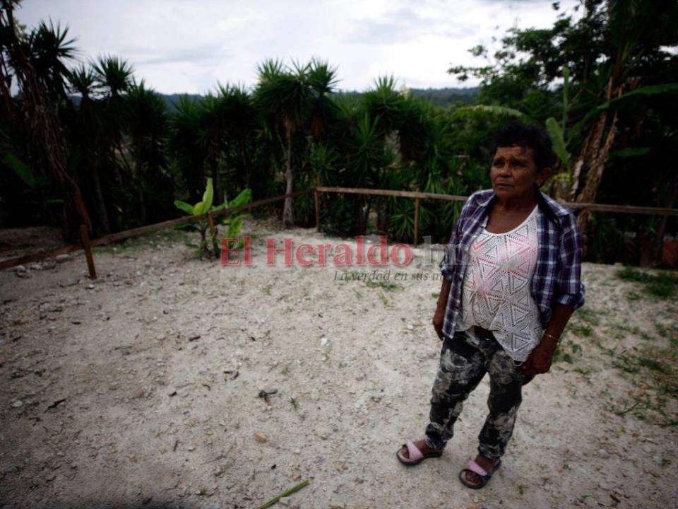 “Vinieron a medir y nunca más volvieron”: Así desfalcaron ONG a más de 22 mil familias en Honduras