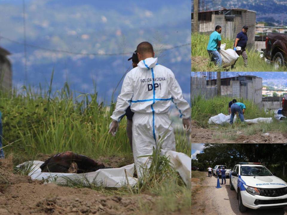 El cuerpo de una persona encostalada fue hallado, la mañana de este domingo -6 de agosto- en una de las solitarias calles que conduce hacia la represa Los Laureles, en Tegucigalpa capital de Honduras. Al lugar se hicieron presentes elementos de la Dirección Policial de Investigaciones (DPI) para hacer el respectivo levantamiento. A continuación las imágenes.